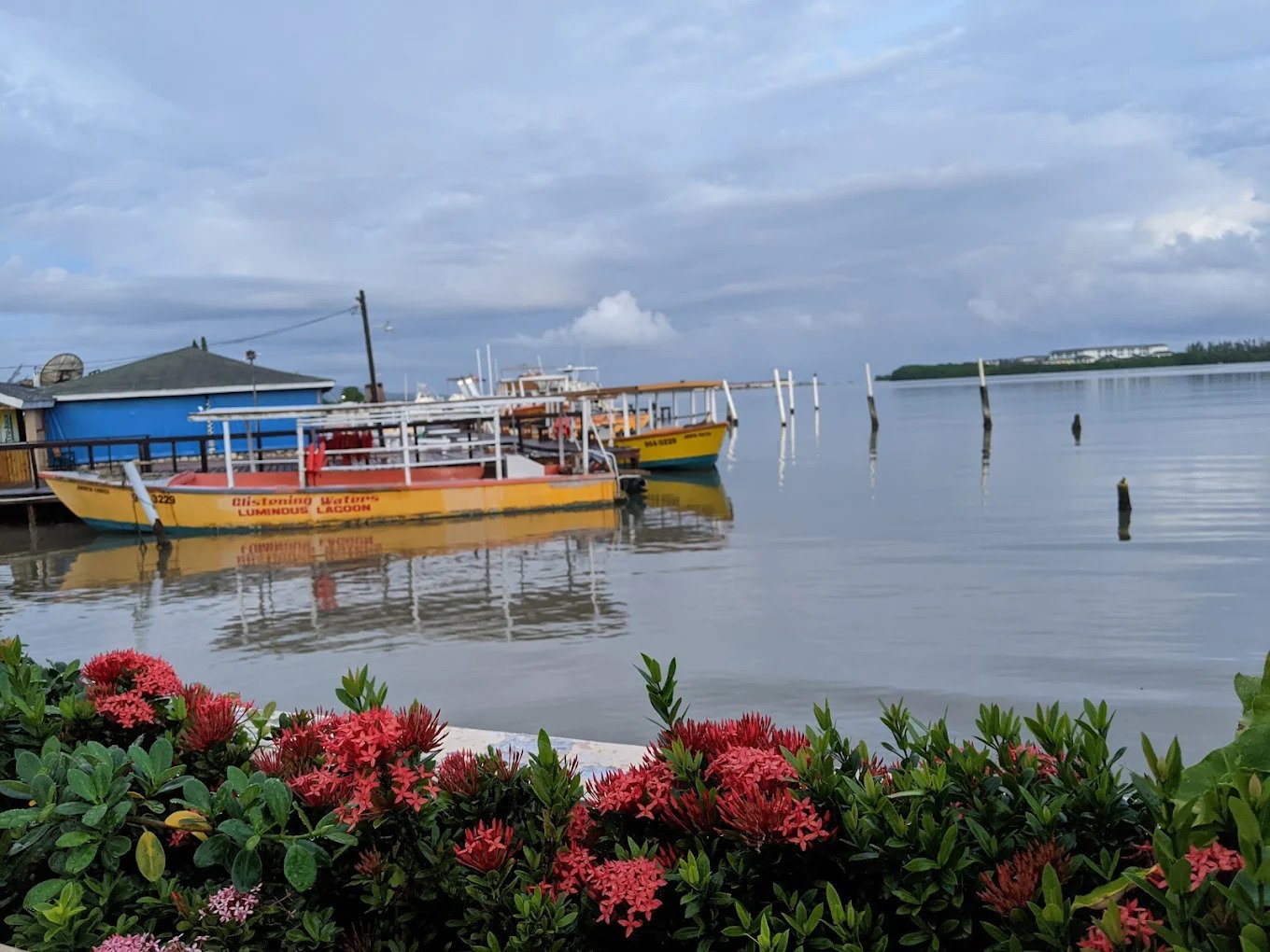 Luminous Lagoon Tour