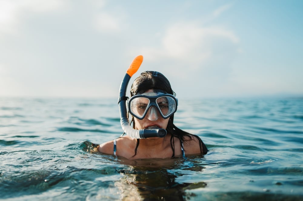 shutterstock_2580145839