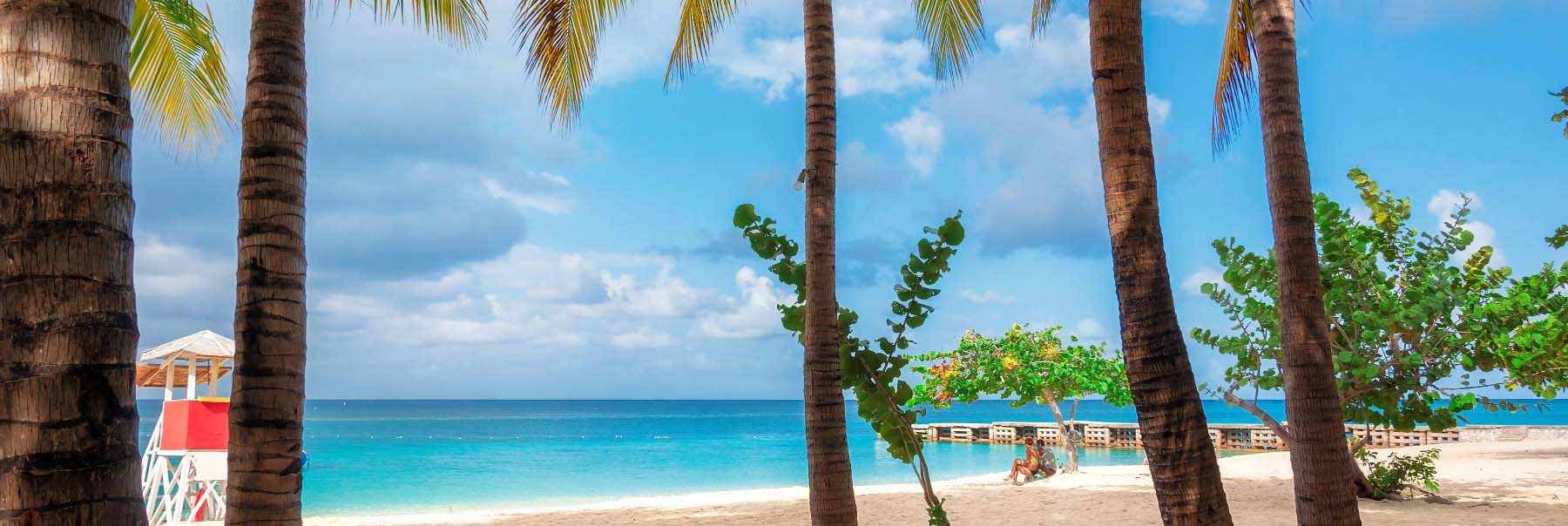 beach view on a sunny day